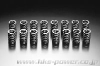 HKS Valve Spring Kit