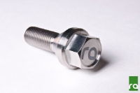 Radium: Titanium Lug Bolts (M12 x 1.5)