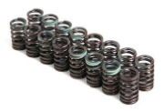 HKS: Valve Spring: Evo I - IX