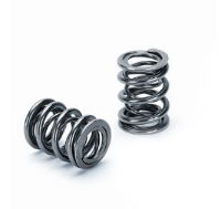 Supertech: Dual  Valve Spring (each): Honda  