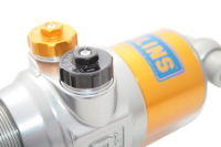 Ohlins: Audi R8 (42) - 06-15 -  Trackday Kit Inc Main & Helper Springs